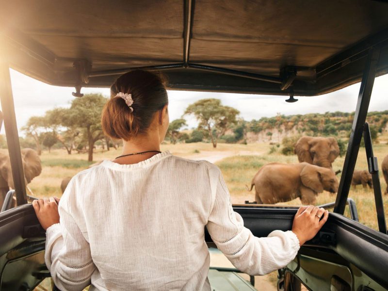 Personolized-Tanzania-SAfari