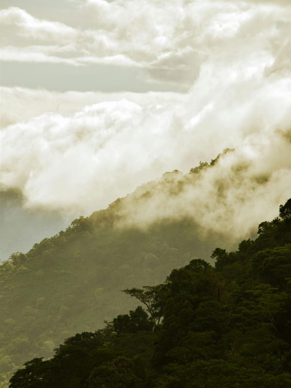 Tanzania-Mountain-Climbing-1