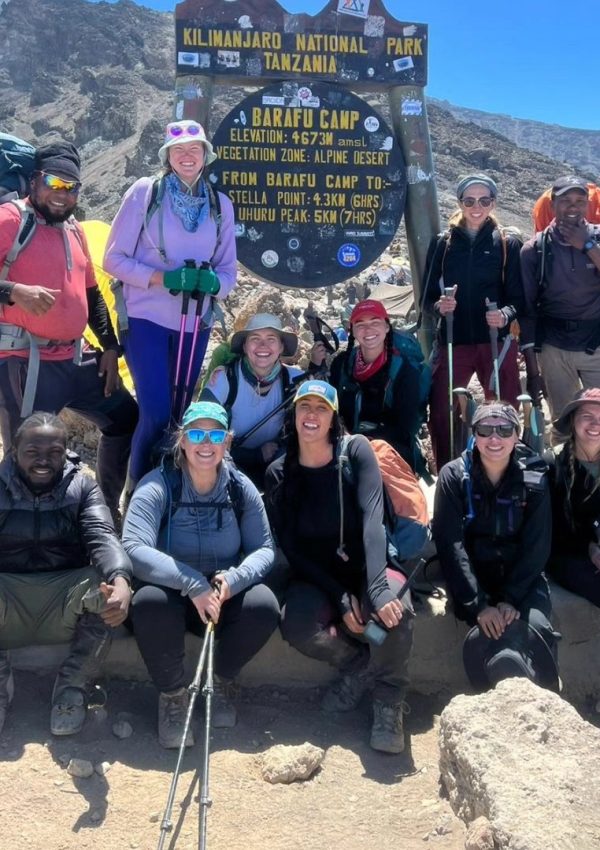 remmy Tastic Safaris (2)