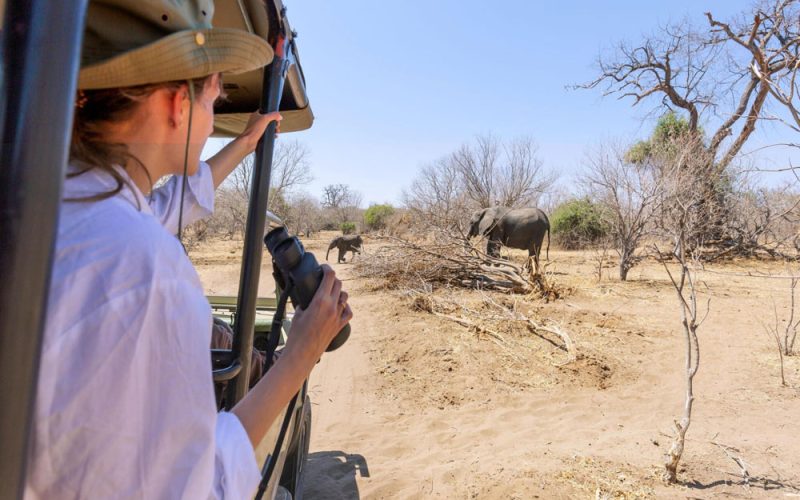 wildlife-safari-Tanzania-safari-Experience